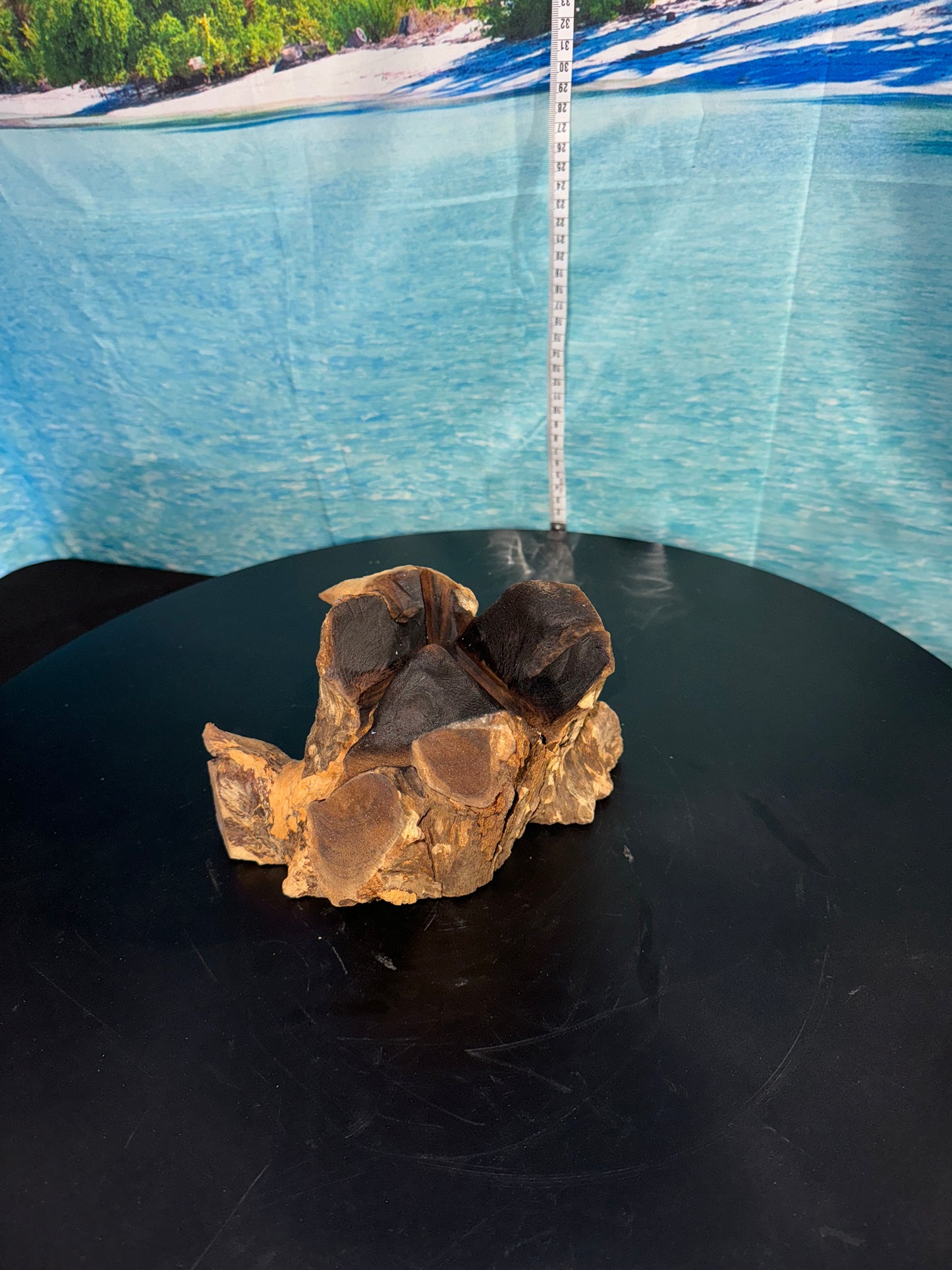 15 cm Glass large bowl 15-9